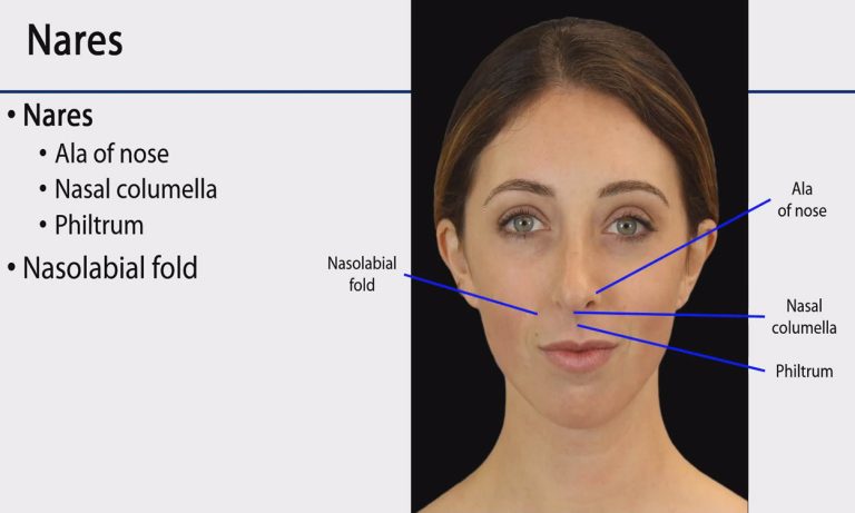 Nasolabial Folds